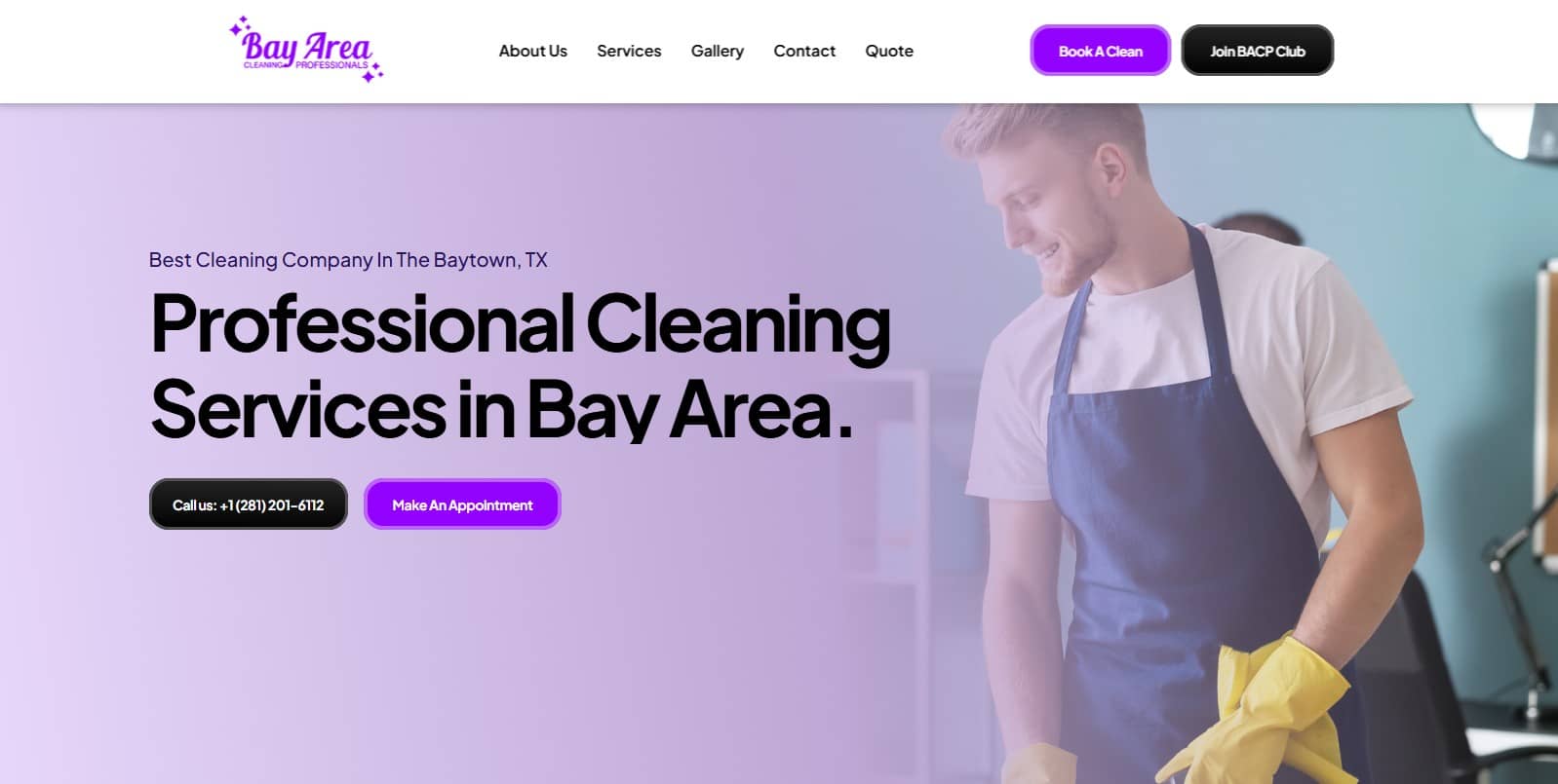 Bay Area Cleaning Pros