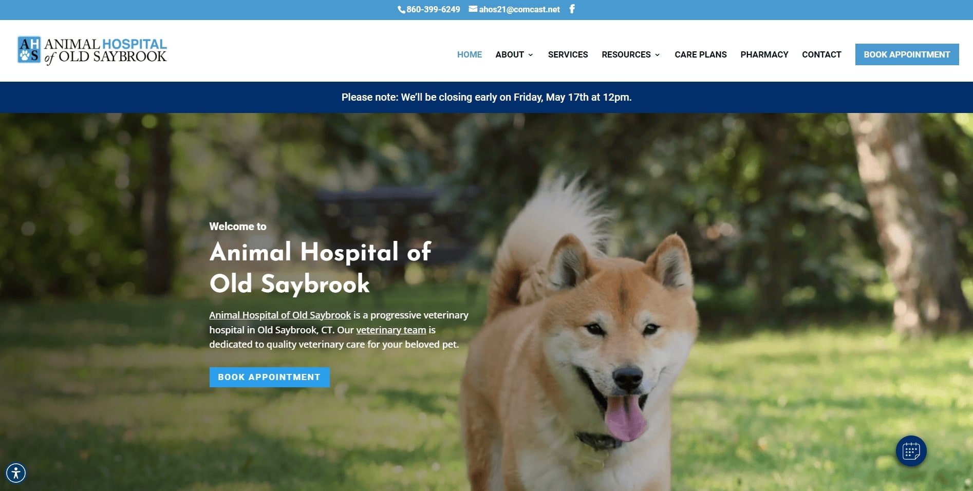 brace bridge animal hospital