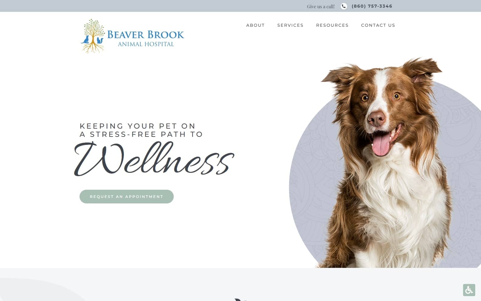veterinary website designs