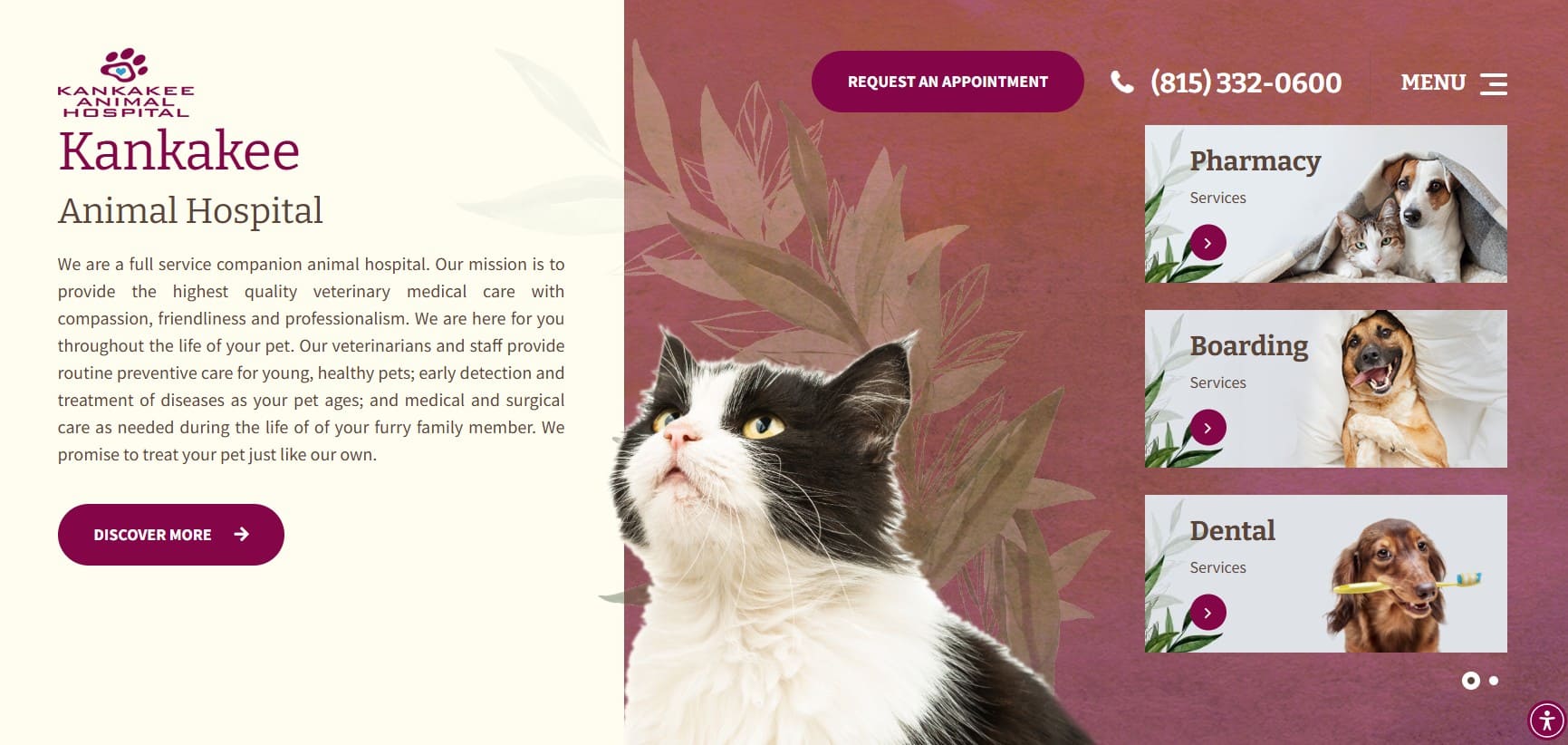 best veterinary website designs