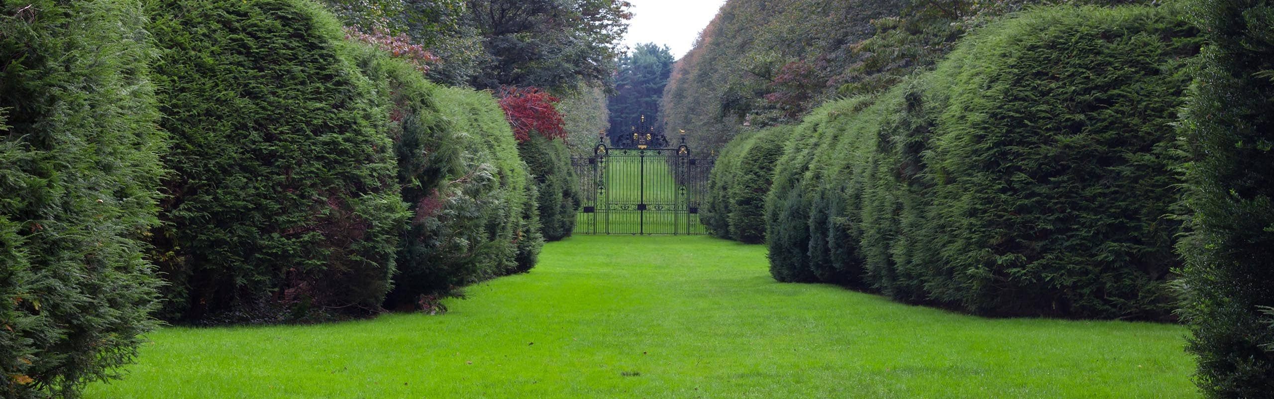 Web Design in Westbury, Long Island, NY