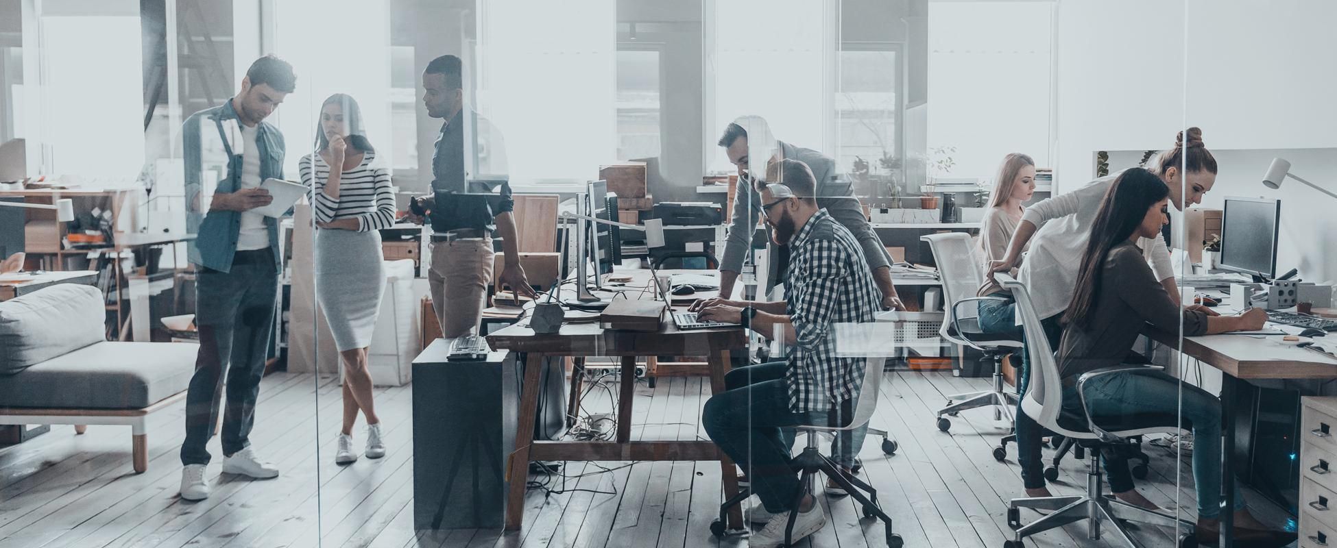 Web Designers working